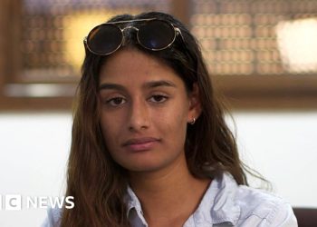 Shamima Begum knew about IS when she joined, UK lawyer says – BBC