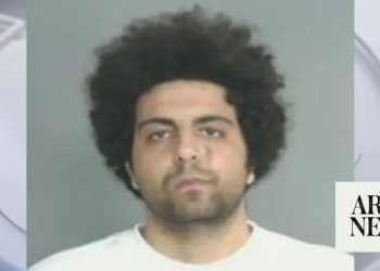 New lawsuit launched tied to case of Egyptian minister's son Ramy Fahim in US – Arab News