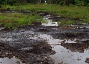 N’Delta farmers win litigation against Shell
