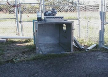 After long campaign by advocacy group, Ohio bans gas chambers to euthanize domestic animals