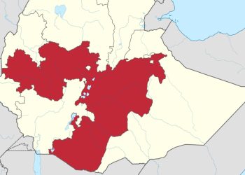 Ethiopia: News – Leading Oromo Advocacy Group Says 2022 “Difficult Year”of Extreme Rights Violations in Oromia Region, Calls for Independent Prob Into Atrocities