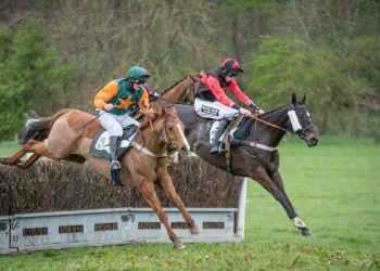 Point-to-point set to go ahead this weekend | thepost.uk.com – Cornish & Devon Post