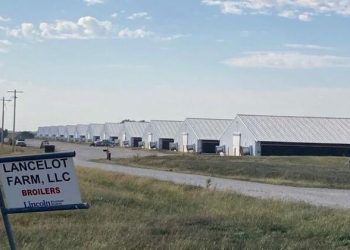 Nebraska bill aims to protect farmers from nuisance lawsuits |