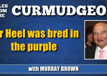 Tar Heel was bred in the purple