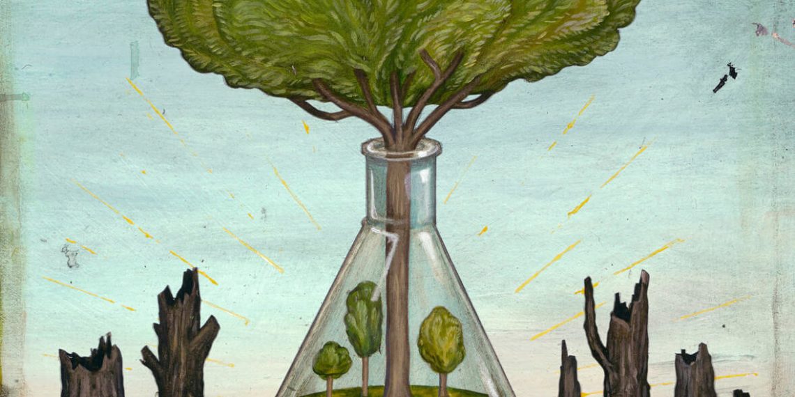 Viewpoint: Anti-biotech advocacy group opposition to forest-restoring GM chestnut tree mimics their disingenuous rejection of nutrition-enhancing GM Golden Rice