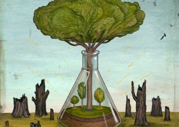 Viewpoint: Anti-biotech advocacy group opposition to forest-restoring GM chestnut tree mimics their disingenuous rejection of nutrition-enhancing GM Golden Rice