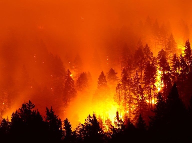 U.S. Forest Services Properly Consulted With Landowners Amidst Months-Long Blaze, Says 9th Circuit