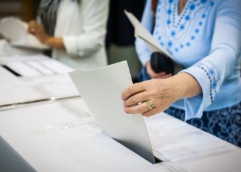 Idaho Supreme Court Grants Motion to Expedite Open Primary Lawsuit