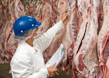 There Are No ‘Magic Words’: 10th Circ. Sets Standard for Notice Under FCA