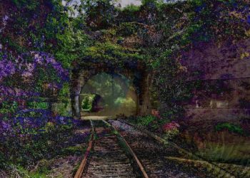 Art generated by AI can’t be copyrighted, DC court says