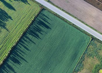 Arkansas orders land divestment from Chinese company – JURIST